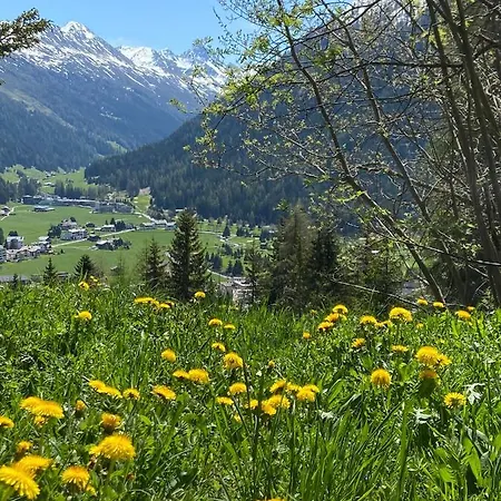 Lejlighed Sunneschii