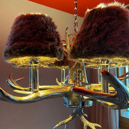 Sunneschii * دافوس