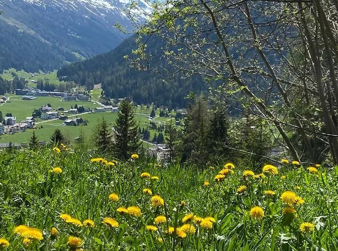 Lägenhet Sunneschii